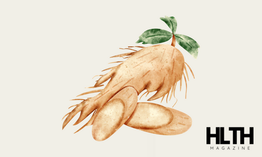What Is Panax Ginseng?